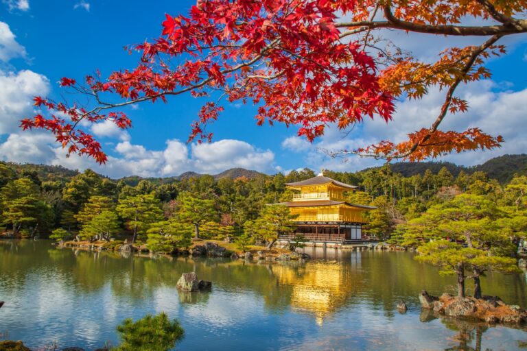 Beyond the Temples - Exploring Kyoto's Hidden Charms